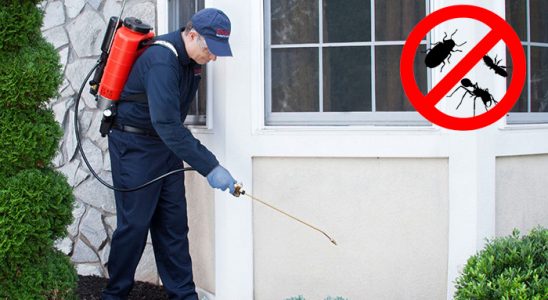 Sumbas Fare İlaçlama böcek ilaçlama ve haşere kontrolü — ilaclama-tr.com